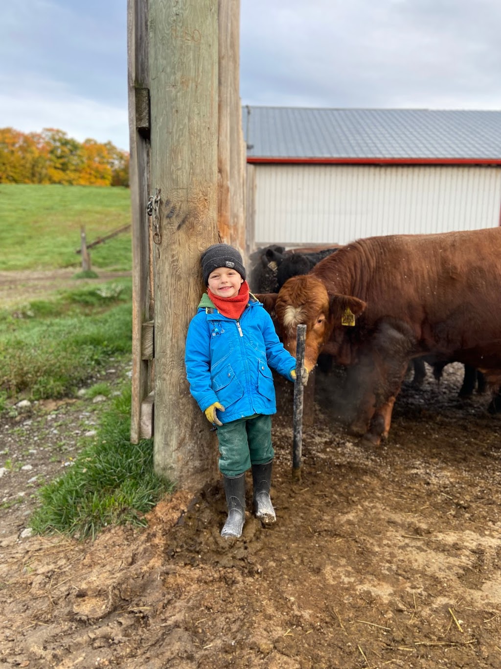 FERME ROGER FORTIER ET FILS | 827 Chem. Gosford, Saint-Pierre-Baptiste, QC G0P 1K0, Canada | Phone: (418) 332-0466