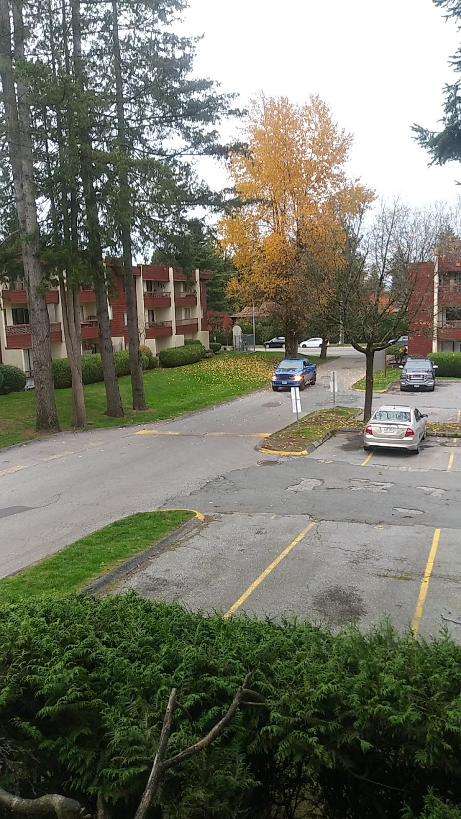 Maple Place Apartments | 10675 150 St, Surrey, BC V3R 4C1, Canada | Phone: (604) 585-1966
