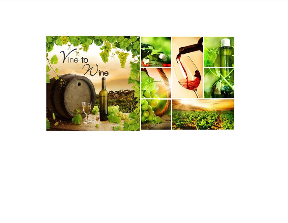 Vine To Wine | 45778 Gaetz St, Chilliwack, BC V2R 4E5, Canada | Phone: (604) 824-8686
