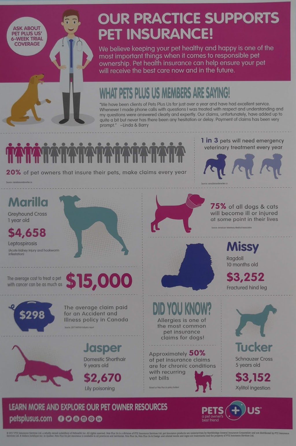 Richmond Green Veterinary Clinic | 10650 Leslie St Unit 3, Richmond Hill, ON L4S 0B9, Canada | Phone: (905) 787-9696