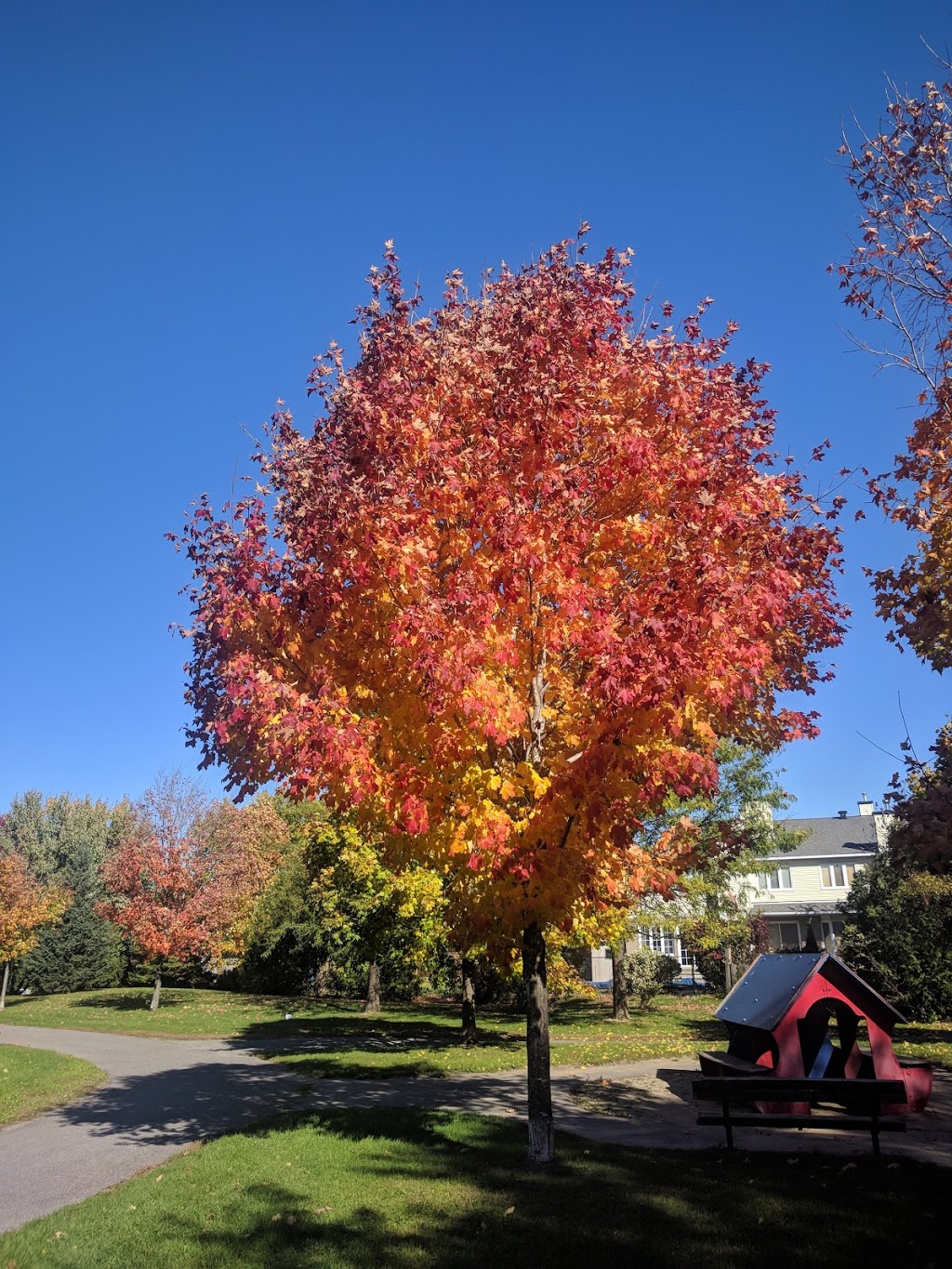 Greenboro Park | Ottawa, ON K1T, Canada | Phone: (613) 580-2595