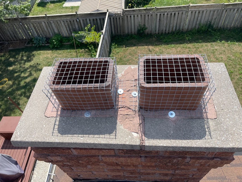 Canadian Wildlife Removal INC | 304 Buick Blvd, Brampton, ON L7A 4L8, Canada | Phone: (905) 233-2412