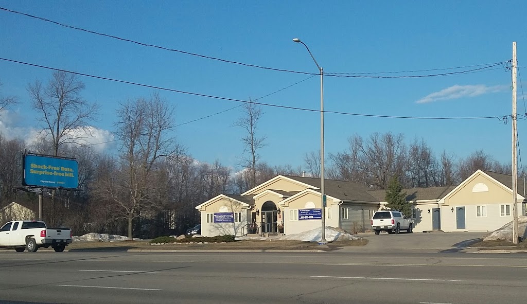 Borderview Veterinary Hospital | 1104 Thompson Rd, Fort Erie, ON L2A 6A8, Canada | Phone: (905) 871-4366