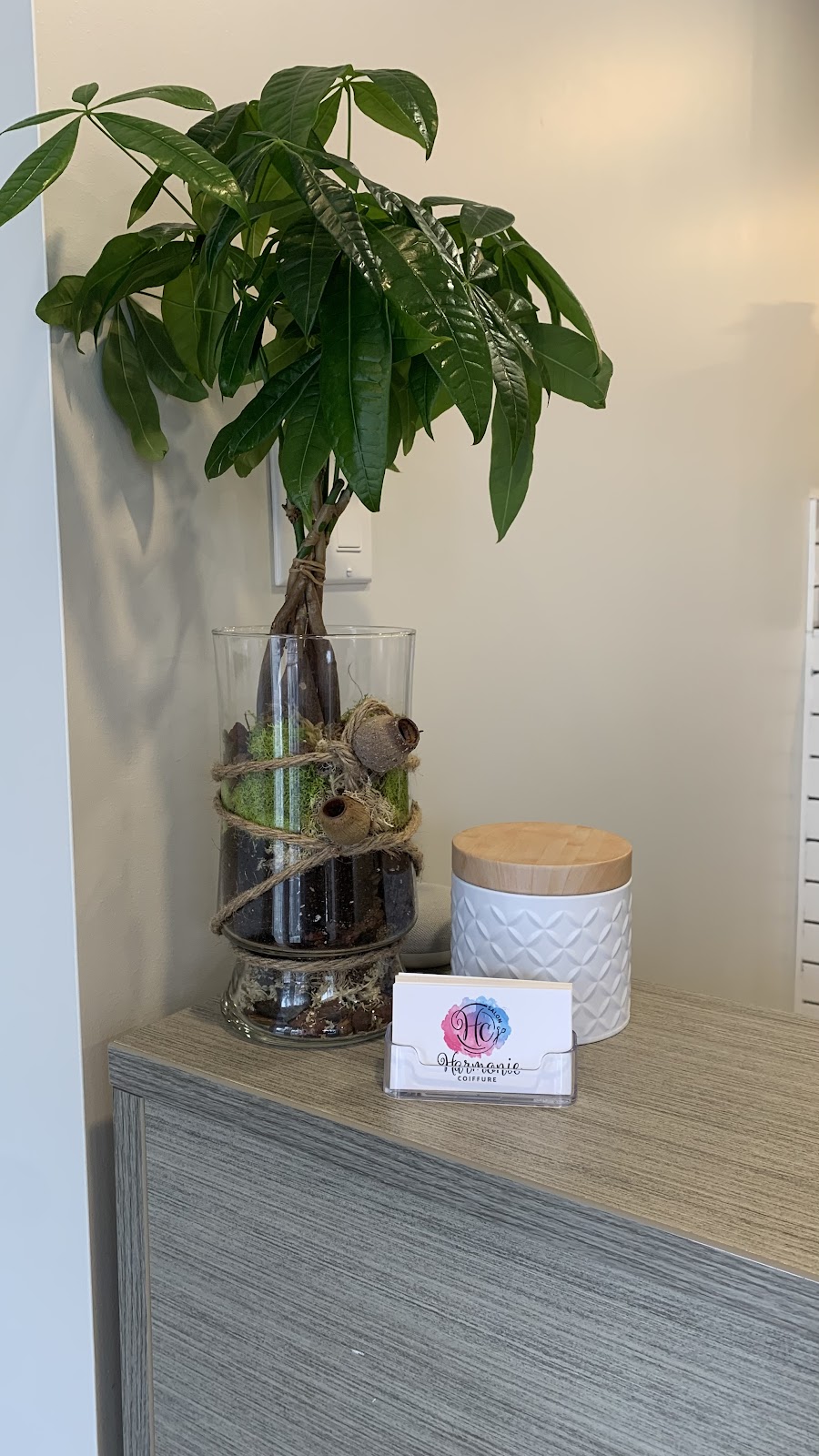 Colorie Coiffure | 162 Chem. Saint-Féréol, Les Cèdres, QC J7T 1M4, Canada | Phone: (450) 424-0189
