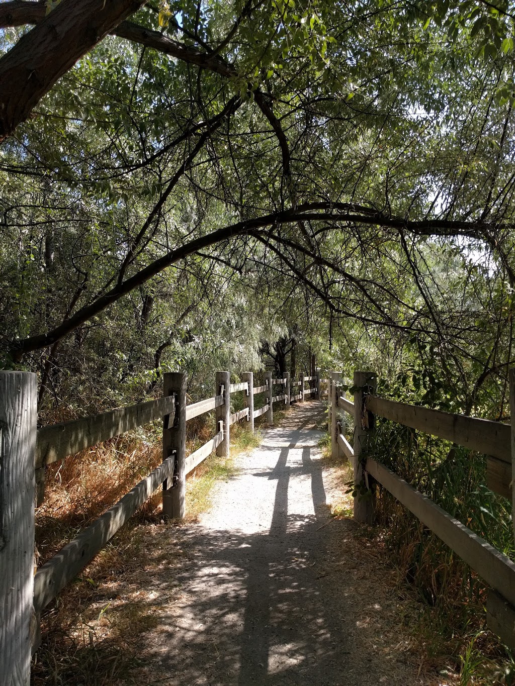 Chichester Wetland Park | 250 Sumac Rd W, Kelowna, BC V1X 6W8, Canada