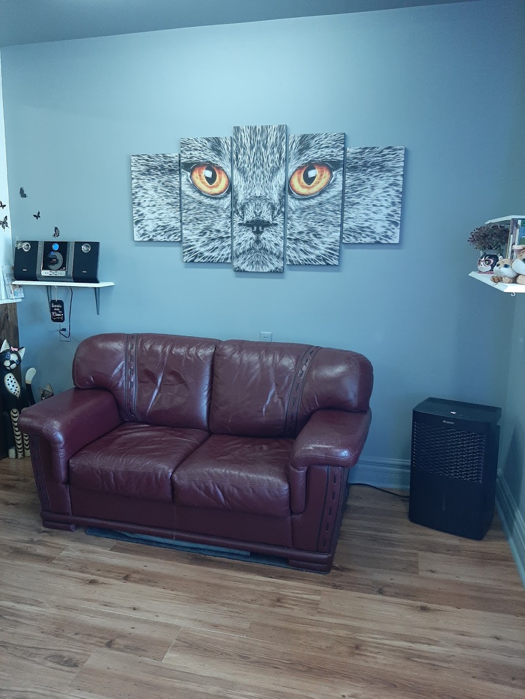 Salon toilettage Toutou Matou | 988 Rue Notre-Dame, Lavaltrie, QC J5T 1L9, Canada | Phone: (438) 884-4342