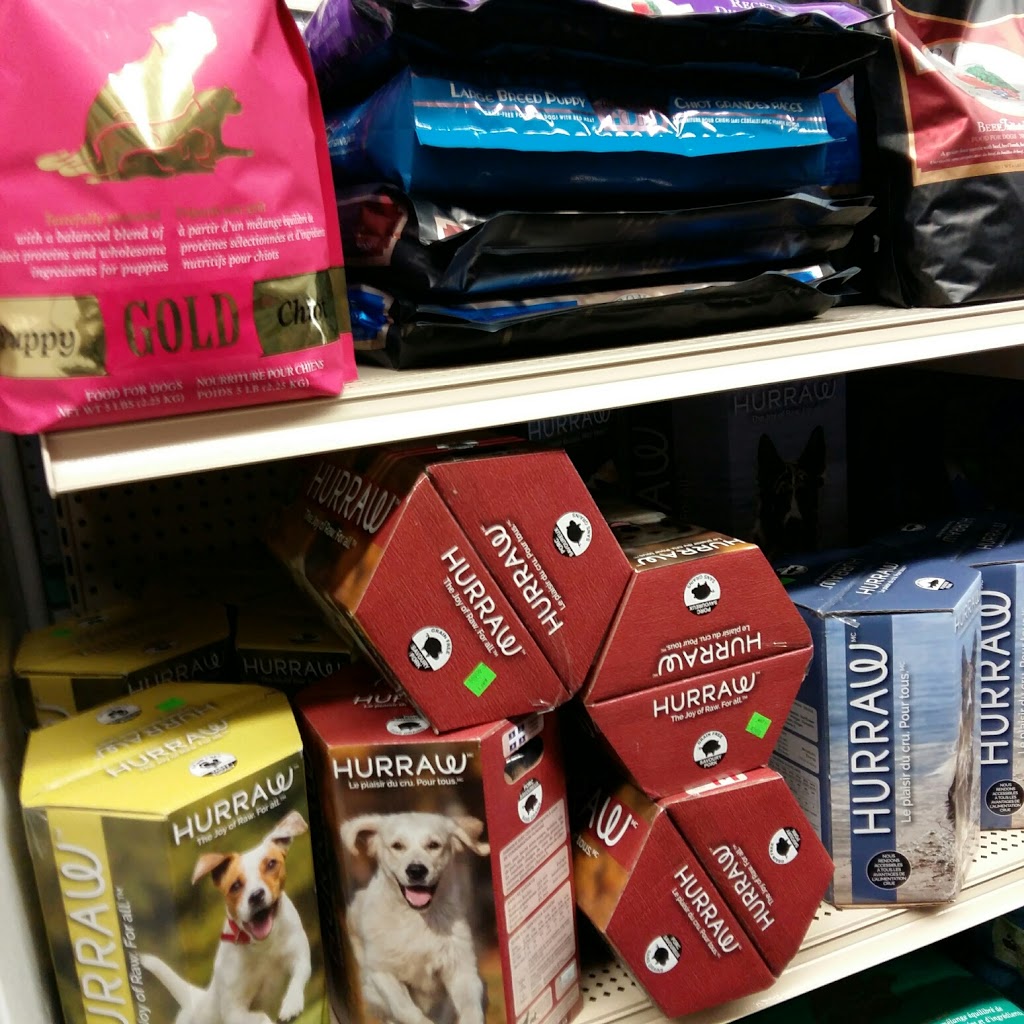 Pet Tyme-Animal Krackers! | 12281 ON-35, Minden, ON K0M 2K0, Canada | Phone: (705) 286-4893