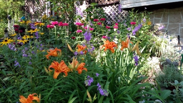 The Best Advice Landscape | 33 Moreau Pkwy, Tiny, ON L9M 0H3, Canada | Phone: (705) 533-1983