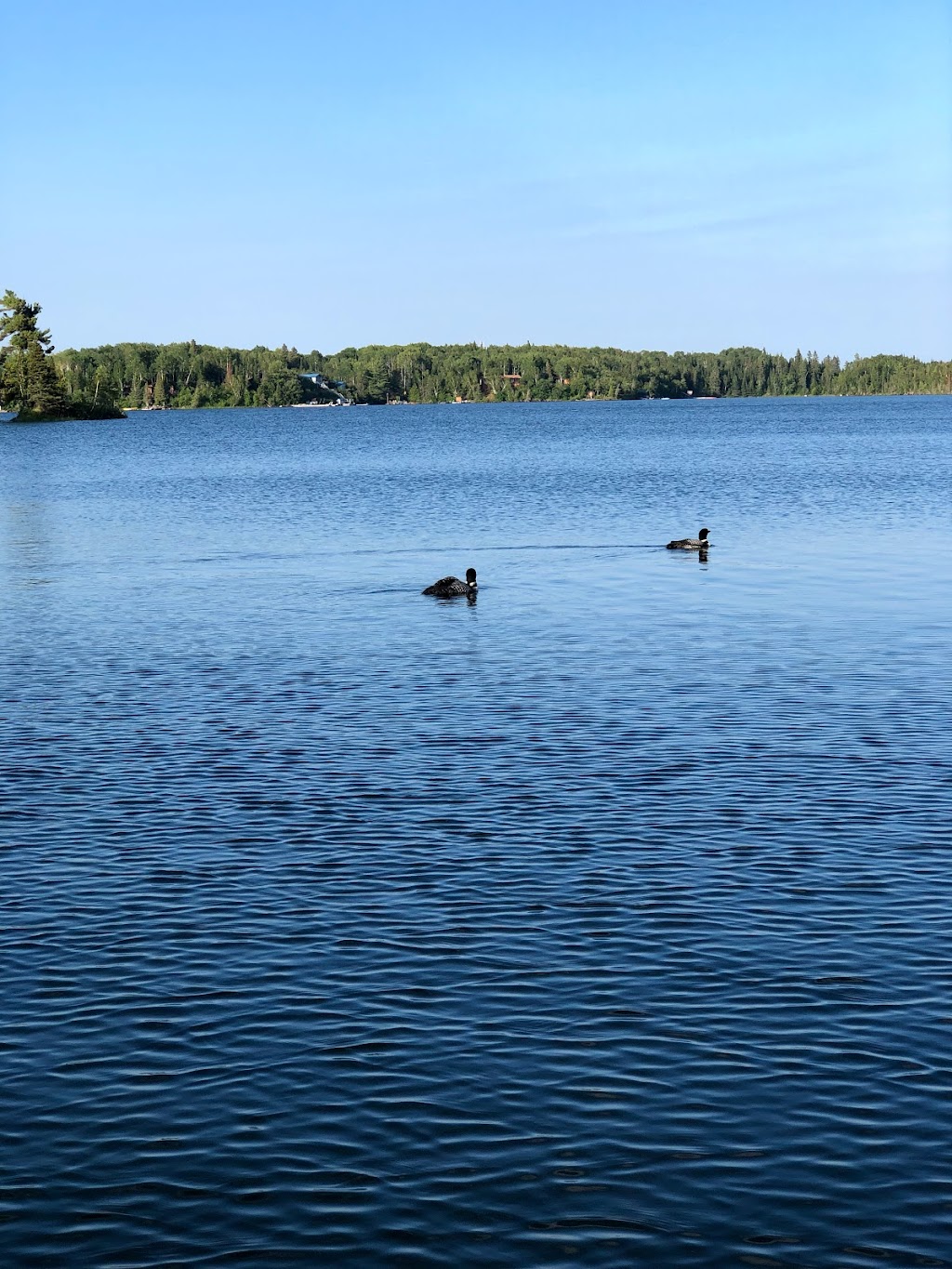 Rockeries Marina | Clearwater Bay Rd, Kenora, Unorganized, ON P0X 1S0, Canada | Phone: (807) 733-1485