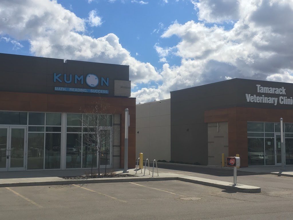Kumon Math & Reading Centre | 2537 17 St NW, Edmonton, AB T6T 0Y2, Canada | Phone: (587) 402-5549