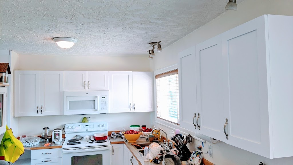 Brush Pro Painting | 6176 Palahi Rd, Duncan, BC V9L 5B6, Canada | Phone: (778) 875-7102
