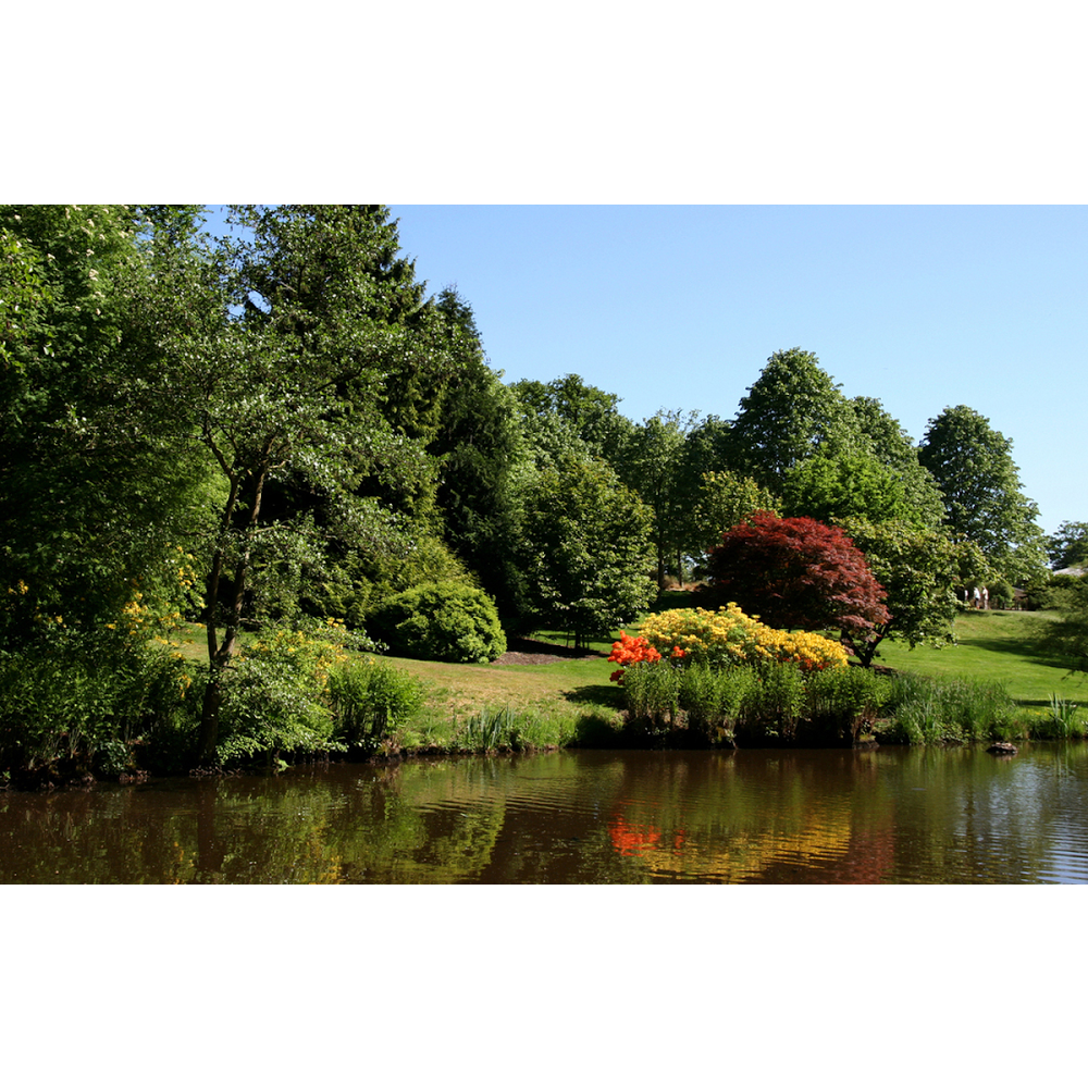 Dukes Grounds Keeping Inc. | 157 Queen St N, Tilbury, ON N0P 2L0, Canada | Phone: (519) 682-4182