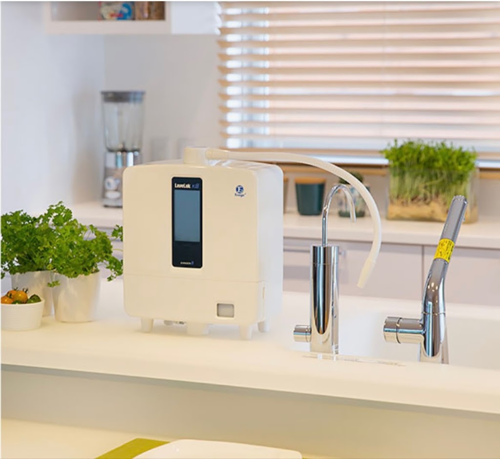 Kangen Water Kawartha Lakes | 270 Kagawong Rd, Cameron, ON K0M 1G0, Canada | Phone: (705) 887-5583