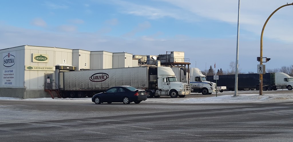Lilydale Inc | 502 Bosworth St, Wynyard, SK S0A 4T0, Canada | Phone: (306) 554-2555