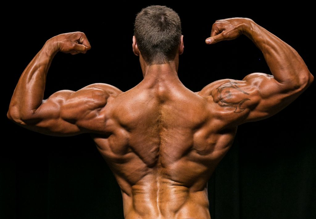 VT Fitness (Entraîneur personnel) | 161 Rue Simard, Sorel-Tracy, QC J3P 6T1, Canada | Phone: (450) 881-3117