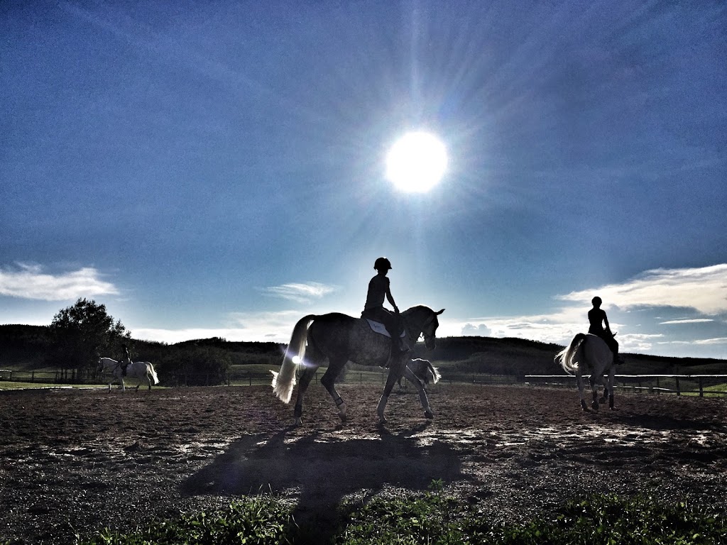 Ironstone Farms | 274117 112 St W, Alberta T1S 0W5, Canada | Phone: (403) 703-4219