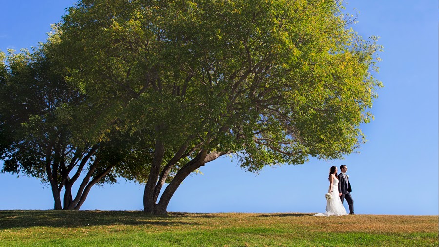 Moments in Digital Photography | 8329 171a Ave NW, Edmonton, AB T5Z 3E4, Canada | Phone: (780) 940-1288