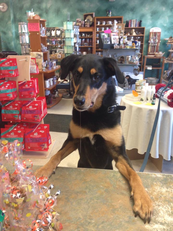 Treats Unleashed Inc | 910 Millersport Hwy, Amherst, NY 14226, USA | Phone: (716) 831-1350