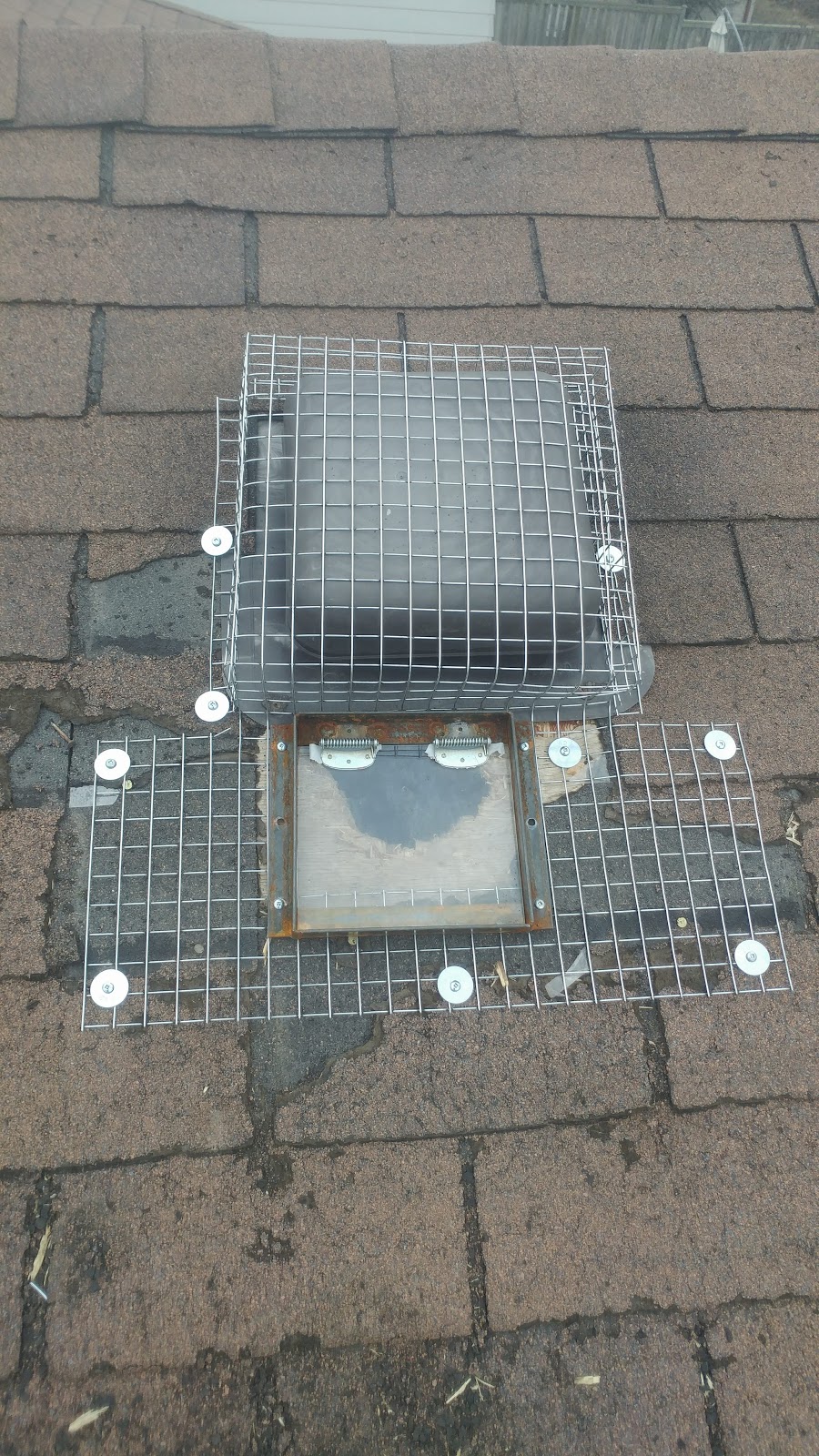 Inline Wildlife Removal | 350 Woodbridge Ave Unit 7, Woodbridge, ON L4L 3K8, Canada | Phone: (905) 766-9010