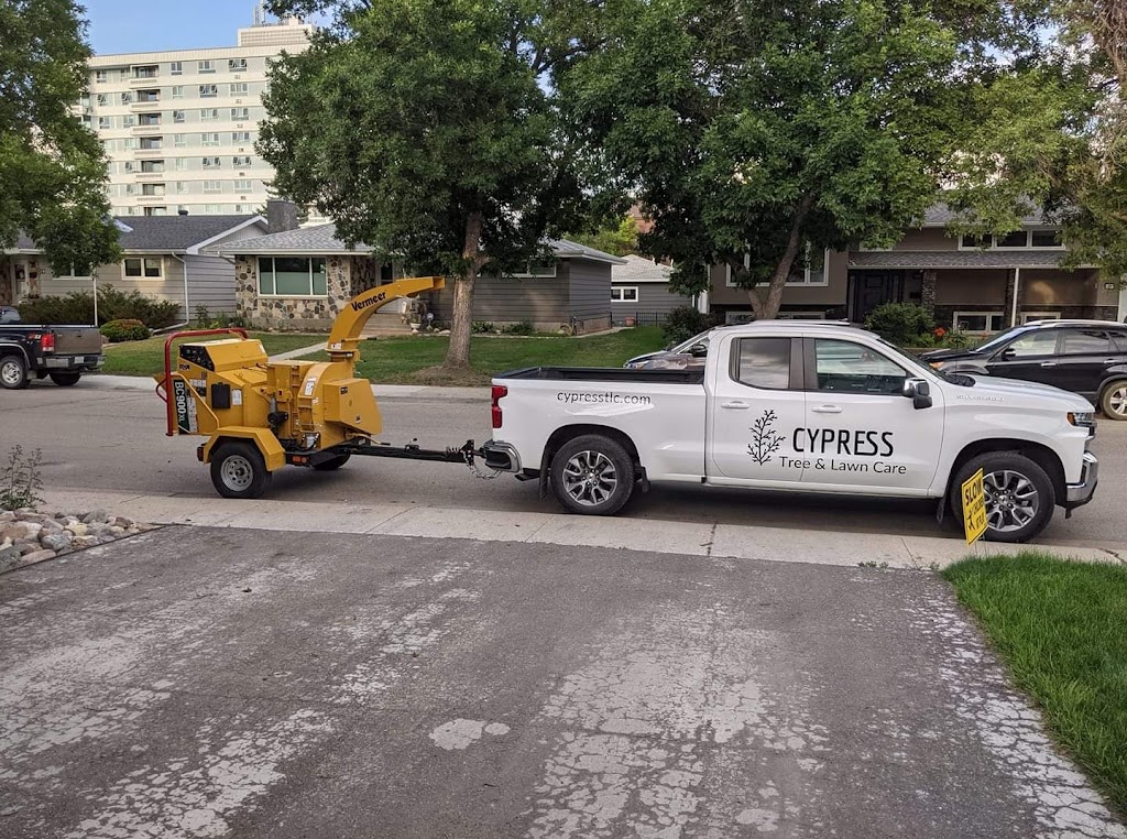 Cypress Tree & Lawn Care | 1024 2 St E, Prince Albert, SK S6V 0G7, Canada | Phone: (306) 999-2230