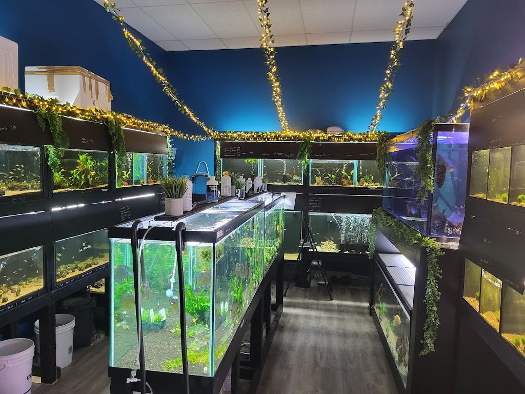 JTrip Fish | 1010 12e Avenue N, Sherbrooke, QC J1E 2X3, Canada | Phone: (819) 580-8997