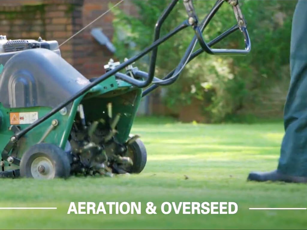 TruGreen Lawn Care | 984 Farewell St Suite 2, Oshawa, ON L1H 6N6, Canada | Phone: (855) 546-7336