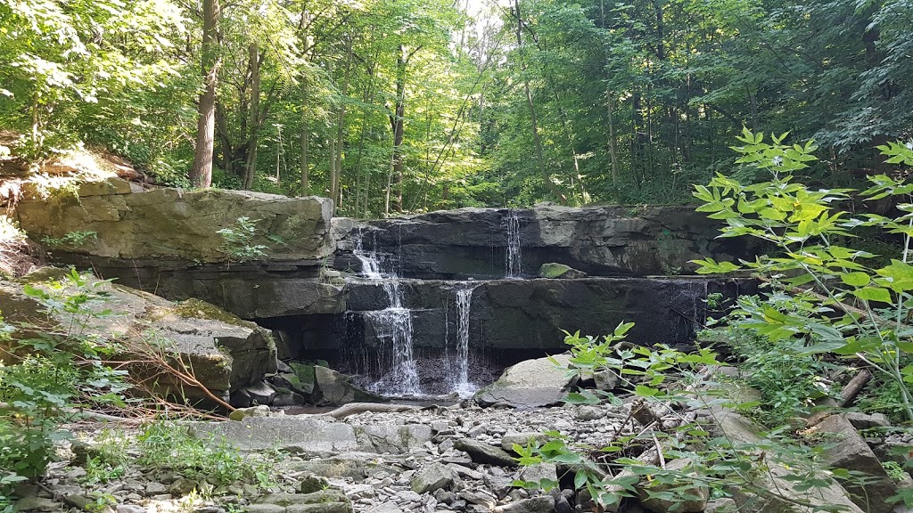 Little Davis Falls | Vincent, Hamilton, ON L8K 5X7, Canada