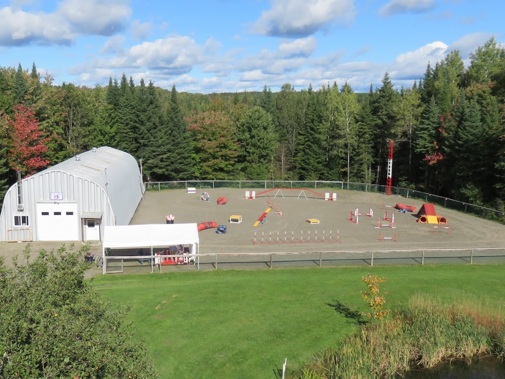Centre Tamylee | 160 Rte du Grand-Buckland, Sainte-Claire, QC G0R 2V0, Canada | Phone: (418) 883-5937