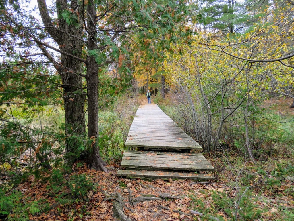 Morris Island Conservation Area | 156 Morris Island Dr, Fitzroy Harbour, ON K0A 1X0, Canada | Phone: (613) 253-0006