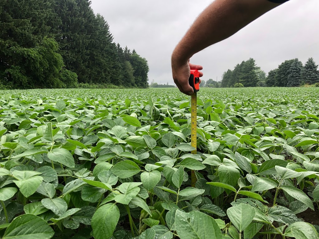 Green Sums Limited | 6119 Sixteen Rd, Smithville, ON L0R 2A0, Canada | Phone: (905) 577-2057