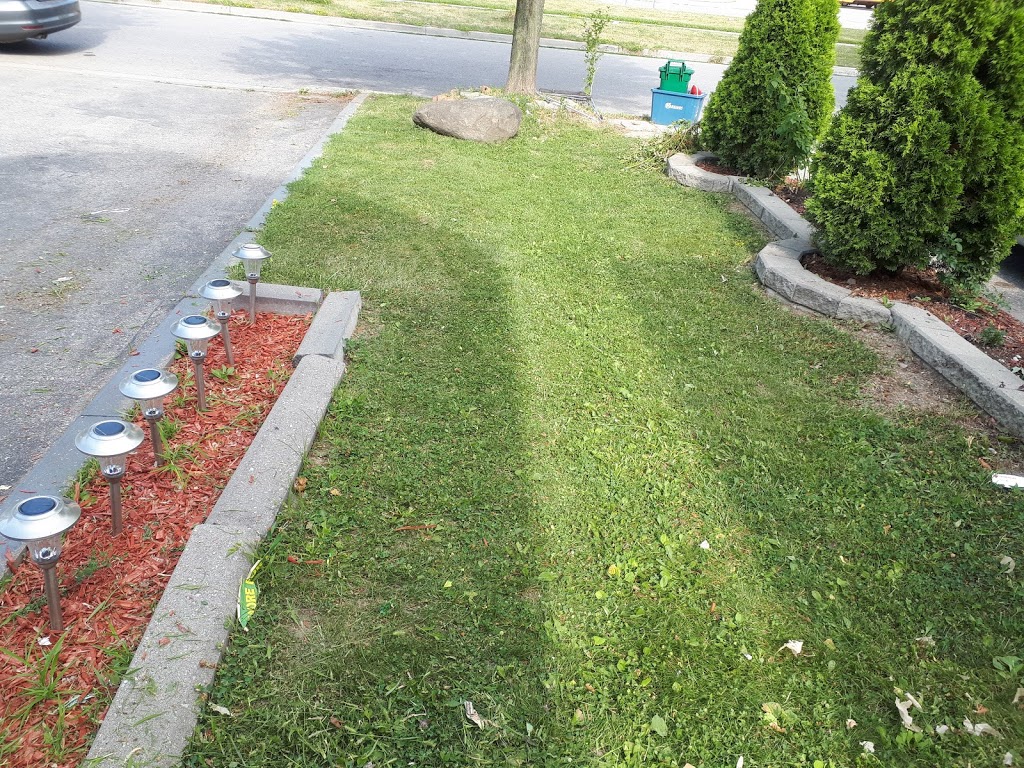 PasKo Property Maintenance | 687 King St W, Oshawa, ON L1J 2L2, Canada | Phone: (905) 809-9612