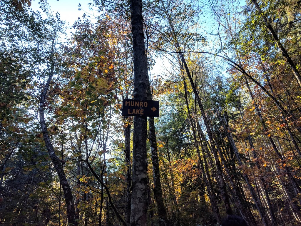 Munro Lake Trail | Munro, Lake Trail, Coquitlam, BC V3E 3H1, Canada