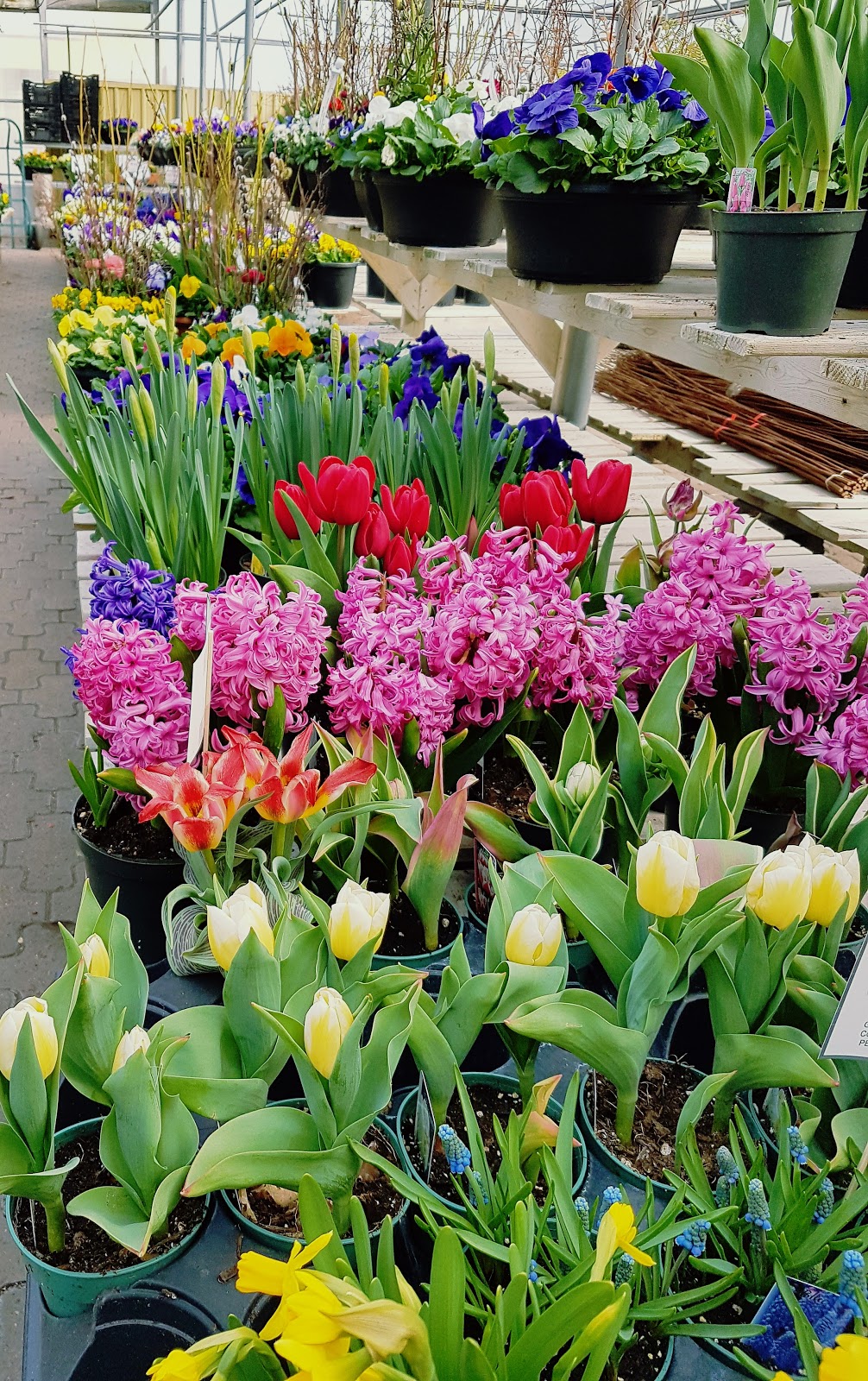 The Living Outdoors Ltd | 486 Main St, Cambridge, ON N1R 5S7, Canada | Phone: (519) 622-1861