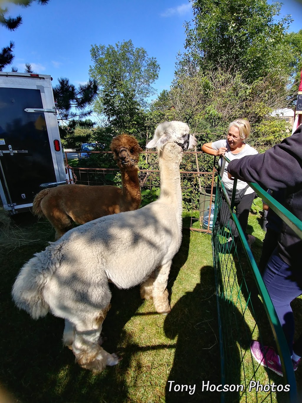 Anderson Farm Museum | 550 Regional Rd 24, Lively, ON P3Y 1M9, Canada | Phone: (705) 674-4455 ext. 3966