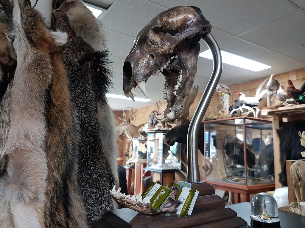 Taxidermie Chez Eric | 279 Rue Principale, Vallée-Jonction, QC G0S 3J0, Canada | Phone: (418) 253-6495