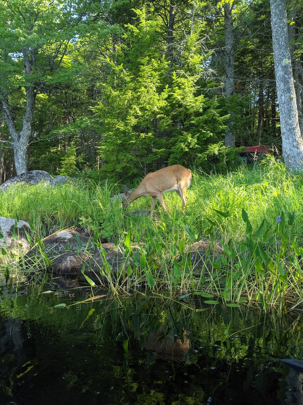 Whynot Adventure, The Keji Outfitters | 1507 Kejimkujik Main Parkway, Caledonia, NS B0T 1B0, Canada | Phone: (902) 682-2282