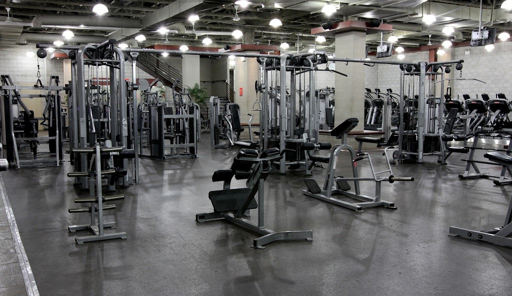 Wynn Fitness Richmond Hill | 11160 Yonge St, Richmond Hill, ON L4S 1H5, Canada | Phone: (905) 787-0007