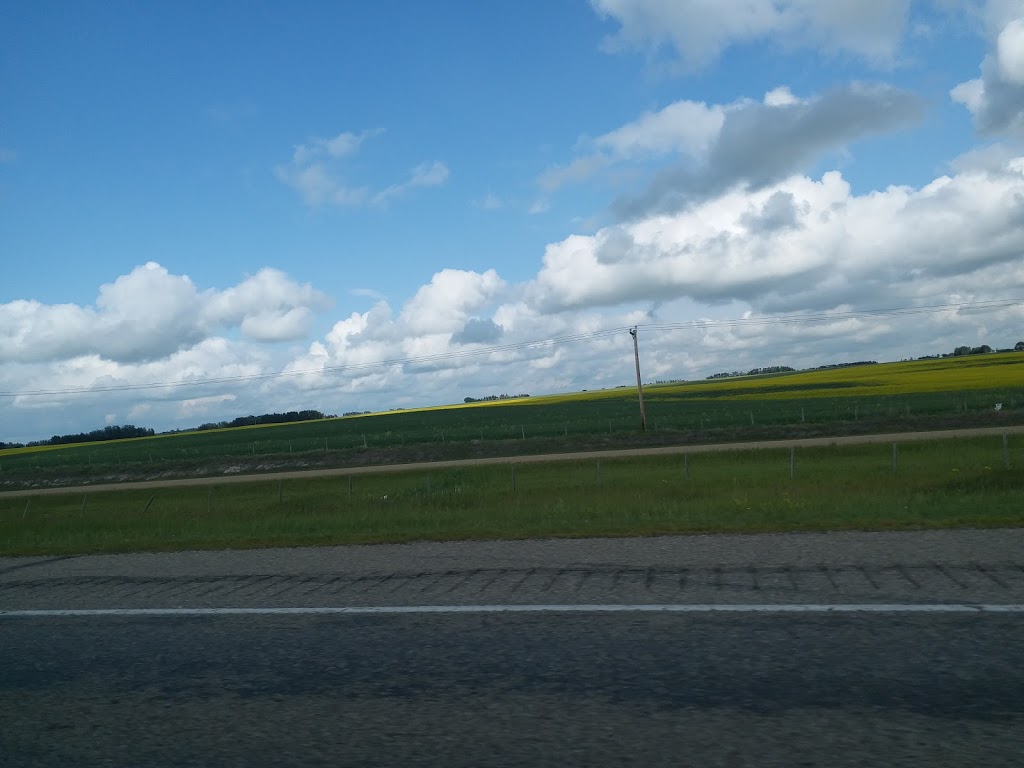 Alberta Boys Custom | Unnamed Road, Bowden, AB T0M 0K0, Canada | Phone: (403) 559-4135
