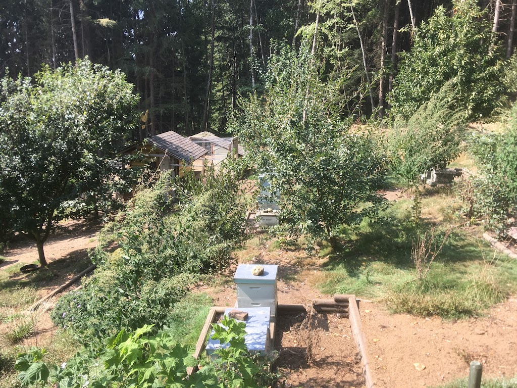 Bruinwood Estate Distillery | 2040 Porter Rd, Roberts Creek, BC V0N 2W5, Canada | Phone: (604) 886-1371