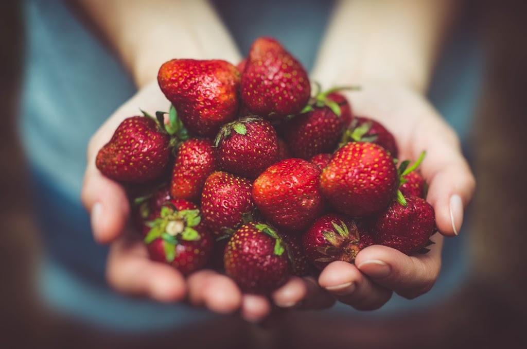 Elanutrition Éliane Labonté | 4767 Boulevard Dagenais O, Laval, QC H7R 1L7, Canada | Phone: (514) 990-7249