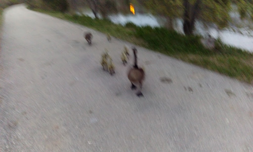 Detweiler Greenway | Highland West, Kitchener, ON N2N, Canada