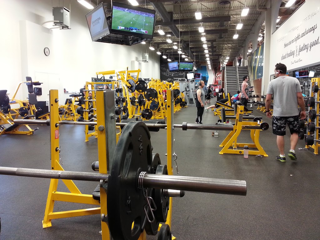 GoodLife Fitness Calgary South Pointe | gym | 12686 48 St SE, Calgary, AB T2Z 0B1, Canada | 4037263147 OR +1 403-726-3147