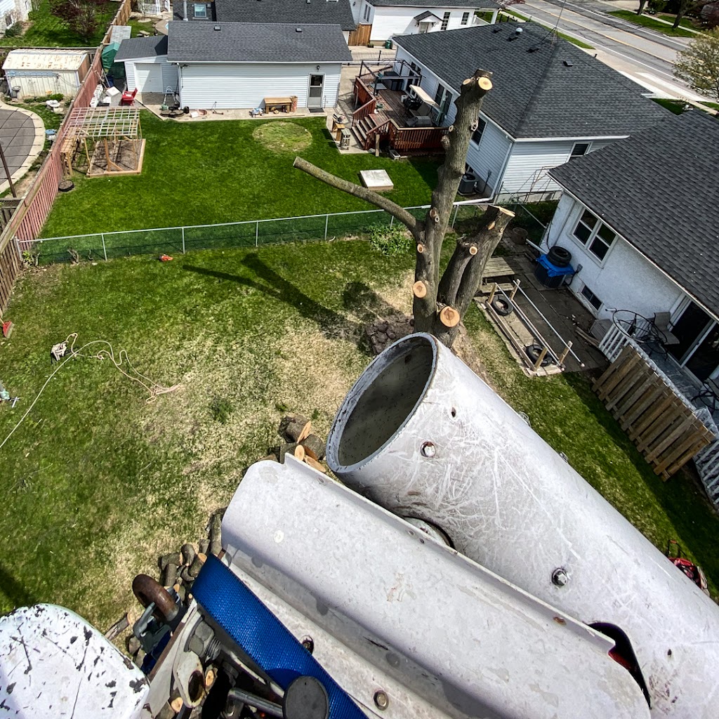 Sequoia Tree Services | 14719 Bayham Dr, Tillsonburg, ON N4G 4G8, Canada | Phone: (519) 852-5323
