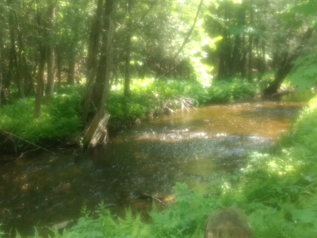 Pauls Creek Campground | 6758 McDonalds Corners Rd, McDonalds Corners, ON K0G 1M0, Canada | Phone: (613) 278-2770