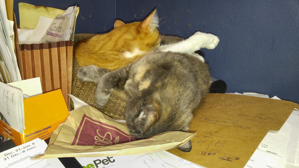 The Pet Stop | 600 Doon Village Rd, Kitchener, ON N2P 1G6, Canada | Phone: (519) 748-2333