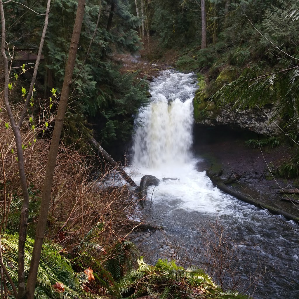 Stocking Creek Park | Stocking Creek Trail, Chemainus, BC V0R 1K0, Canada