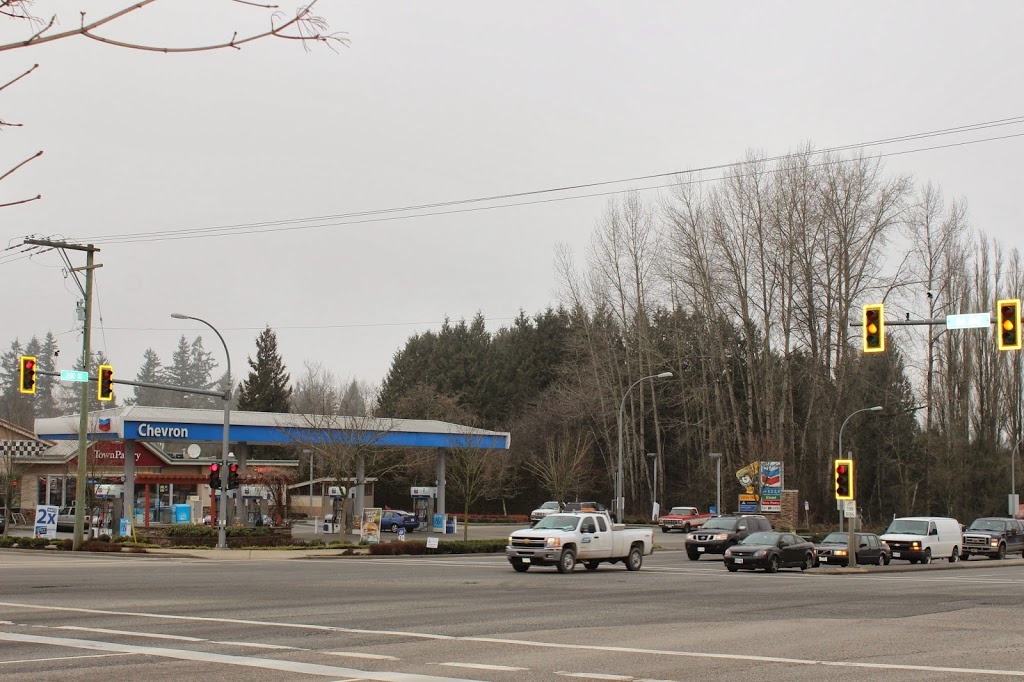 Willoughby Animal Hospital | 8590 200 St #1, Langley City, BC V2Y 2B9, Canada | Phone: (604) 371-3301