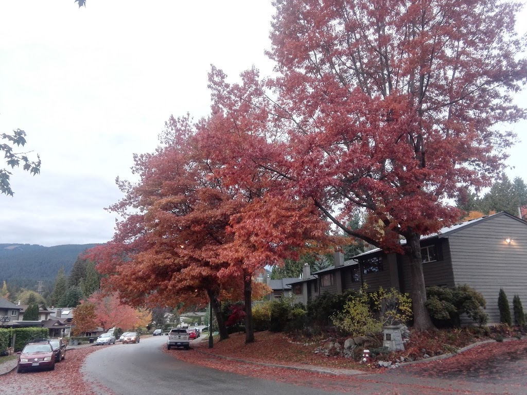 Cedar Village Projectcare | 1866 Rufus Dr, North Vancouver, BC V7J 3L7, Canada | Phone: (604) 833-9642