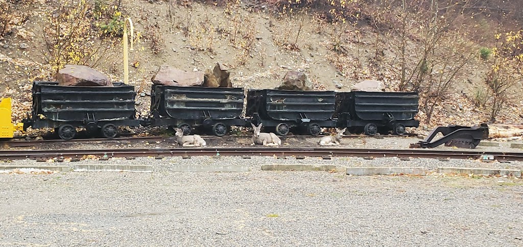 Sullivan Mine & Railway Historical | 111 Gerry Sorensen Way, Kimberley, BC V1A 2Y5, Canada | Phone: (250) 427-0022