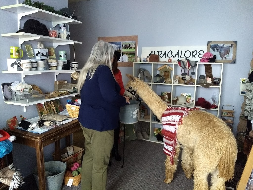 Alpacalore | 320 Vansickle Rd, St. Catharines, ON L2R, Canada
